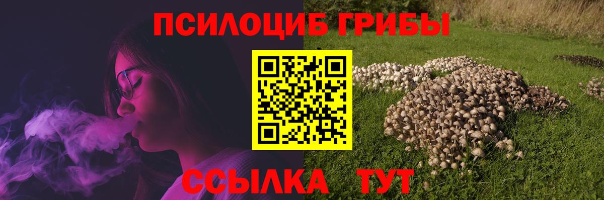 Протвино  Галлюциногенные грибы мицелий  Вход с VPN  закладки  Галлюциногенные грибы Cubensis 